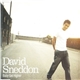 David Sneddon - Baby Get Higher